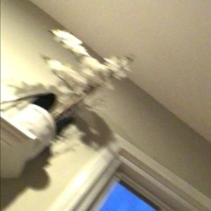 Meet your Posher, Meghan